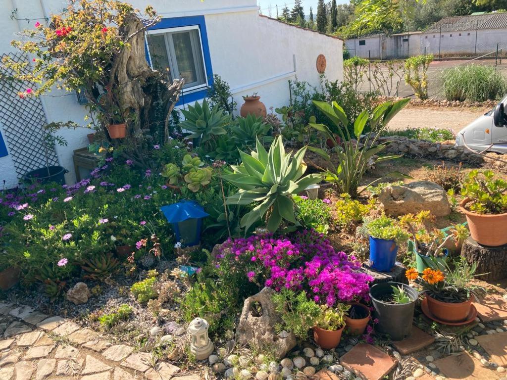 Casa Joy Villa Guia  Exterior foto